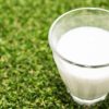 妊娠中の葉酸摂取は牛乳で足りる？含有量なども解説
