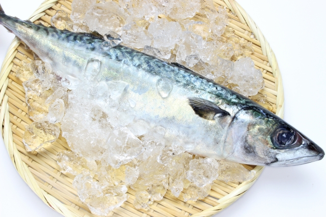 >DHAはどんな食品から摂れるのか” width=”550″></img></div>
</p>
<p>DHAを多く含む食品と言えば、魚でしょう。<br />
特に、イワシやサバ等の青魚や、サケやうなぎ、マグロのトロの部分にも多く含まれています。</p>
<h3>魚から摂る時には水銀の副作用に注意しよう</h3>
<p>魚に多く含まれるDHAなのですが、だからと言って妊娠中に魚を大量食べるのは危険です。<br />
<font color=